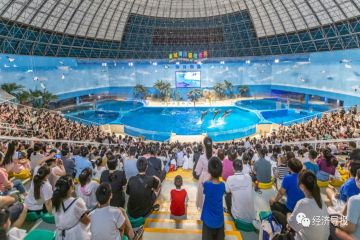 探访景区背后的风景 | 从“门票经济”到拉动“二消”，山东文旅新模式点燃假日出游热情